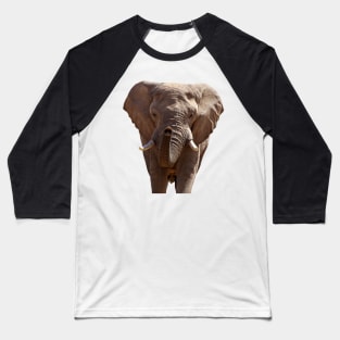 Elephant (No Background) Baseball T-Shirt